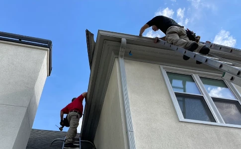 Dixie Wildlife Exclusion