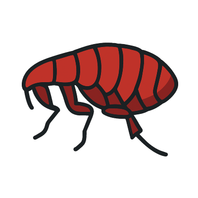 Flea Icon