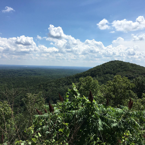 North Metro Atlanta Area