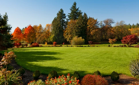 Yard with surrounding flowers